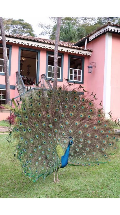 Fazenda Uniao Rio das Flores Exterior foto